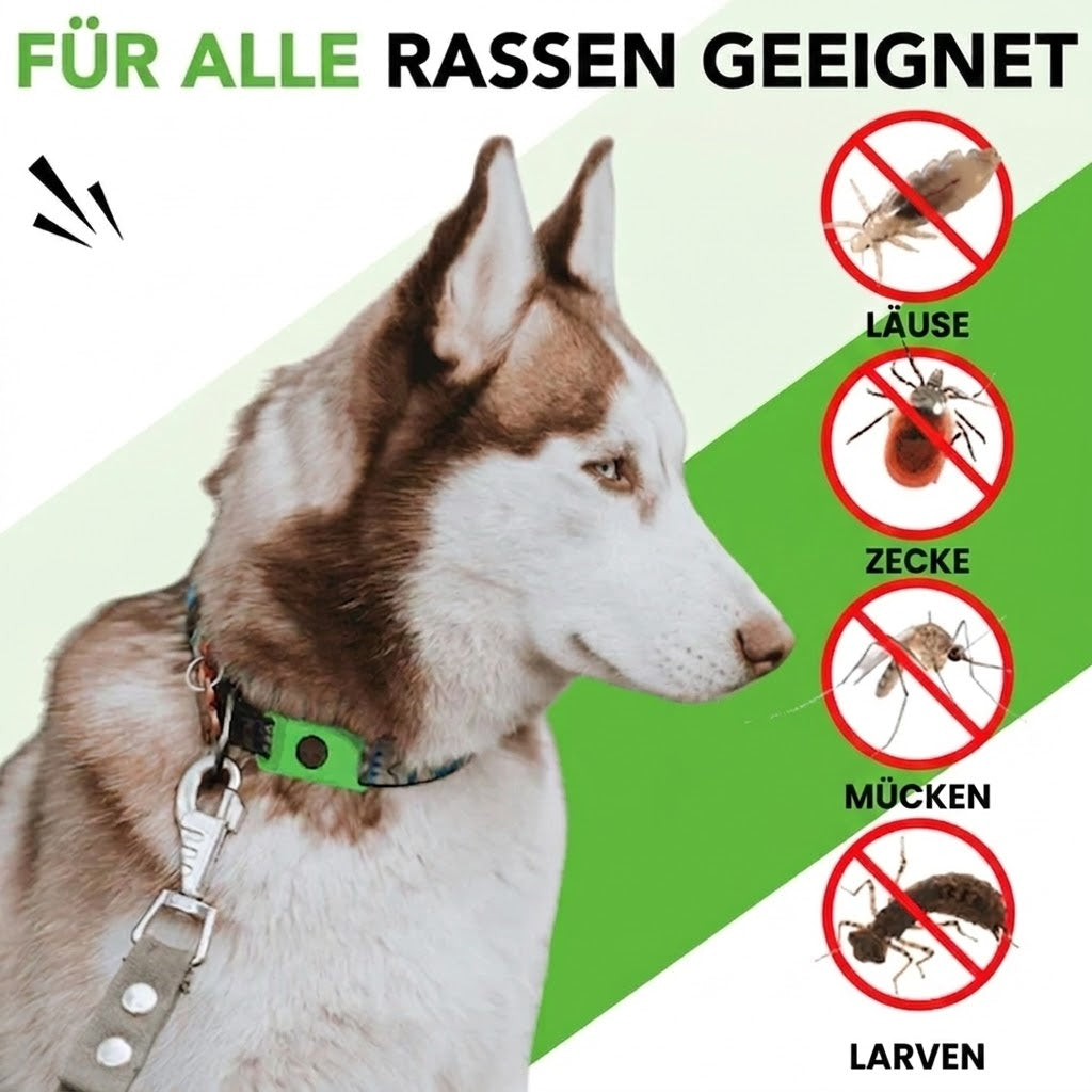 FurShield - Natürlicher Schutz vor Flöhen & Zecken